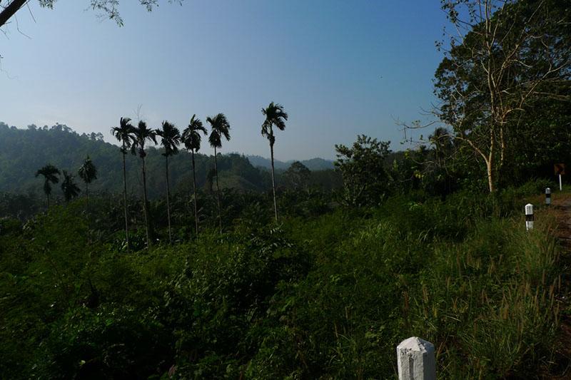 P1080594