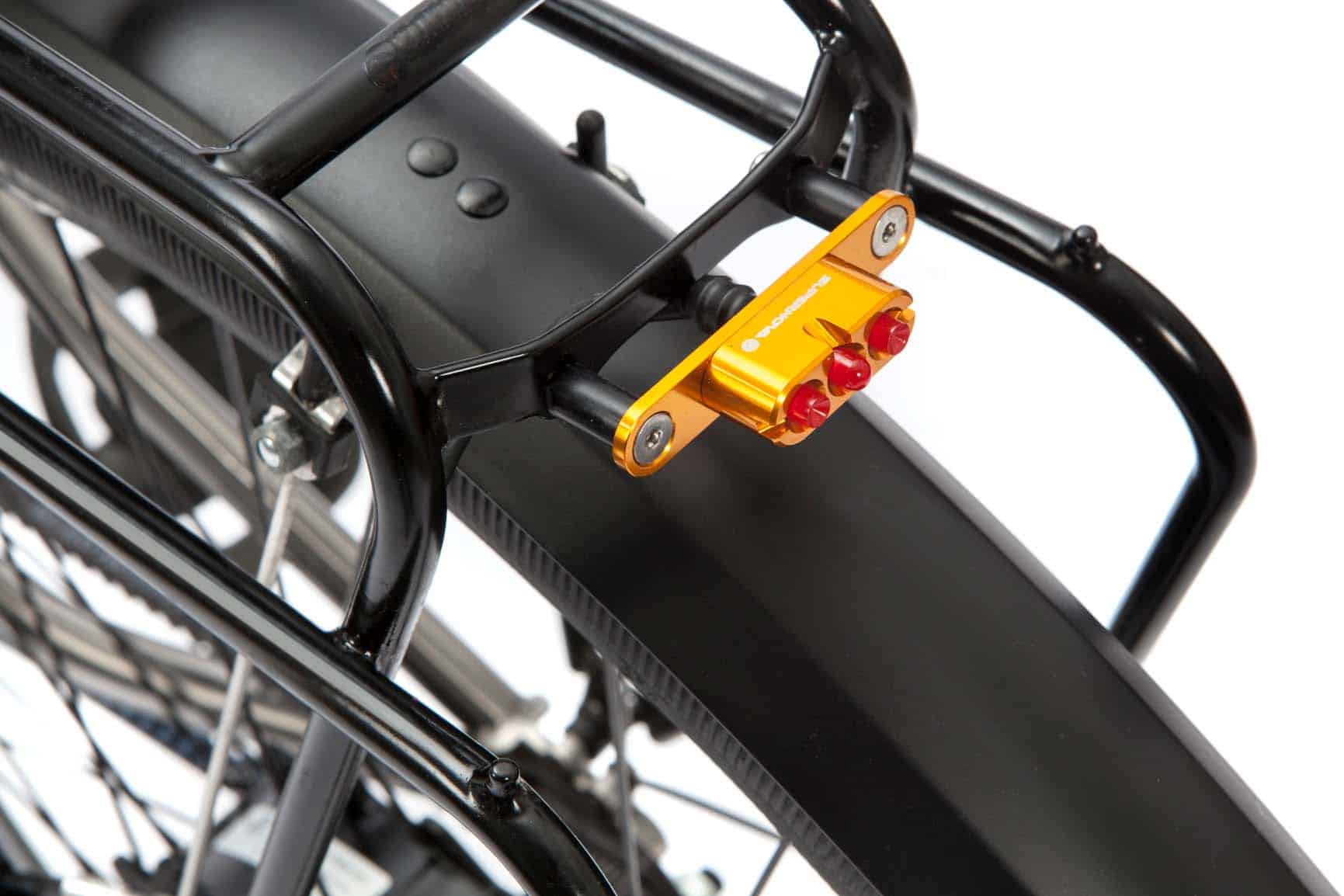 Pinion-E-Bike-with-Gates_7