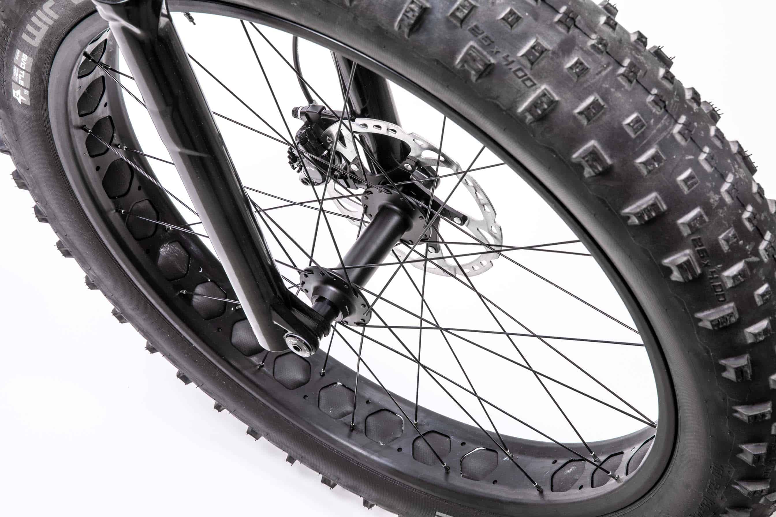 Titanium_Pinion_Fatbike_09_min