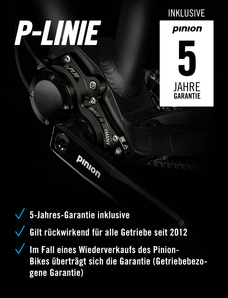 Pinion Getriebe Garantie